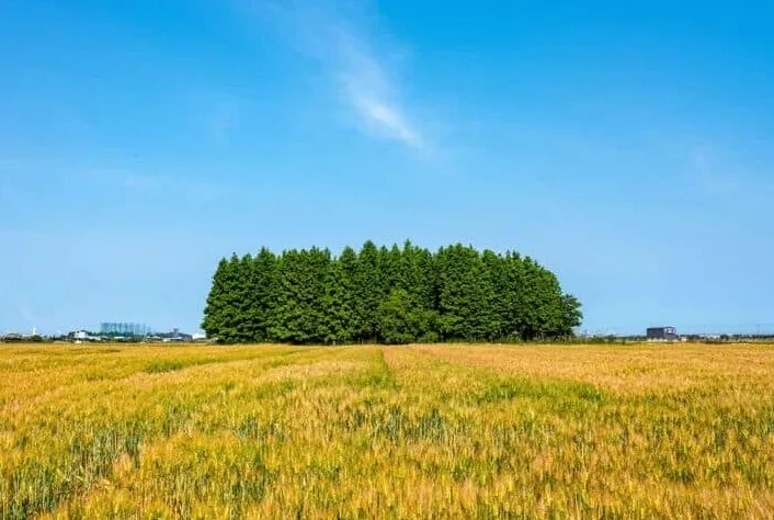 옥녀교차로 / 사진=게티이미지뱅크