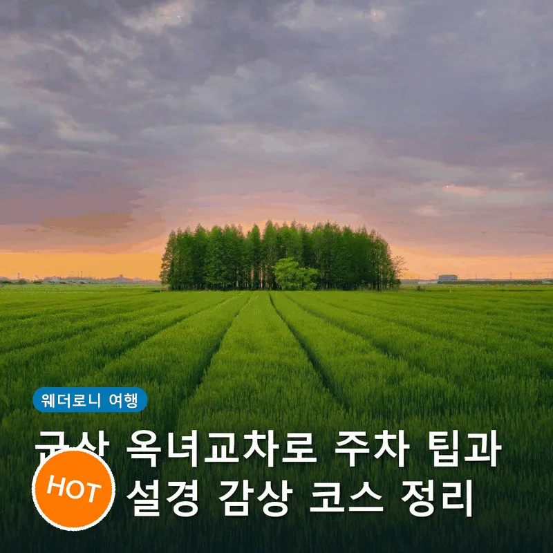 군산 옥녀교차로 주차 팁과 겨울 설경 감상 코스 정리