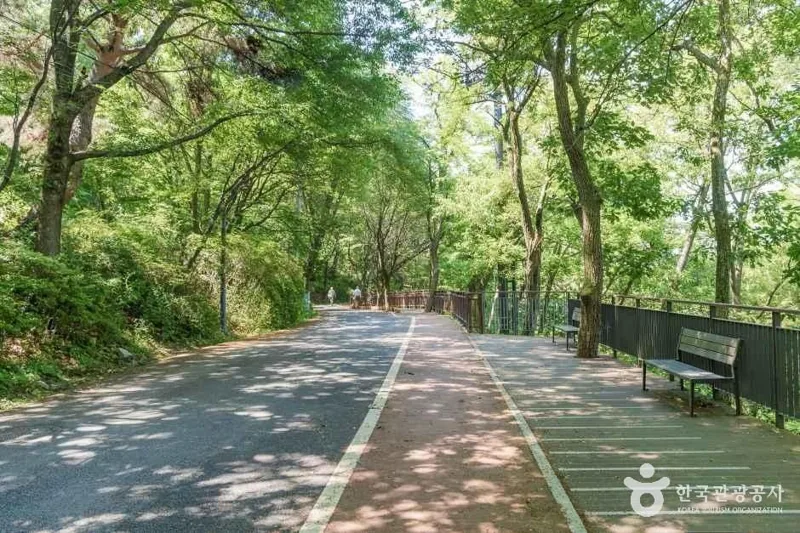 망우산(서울)