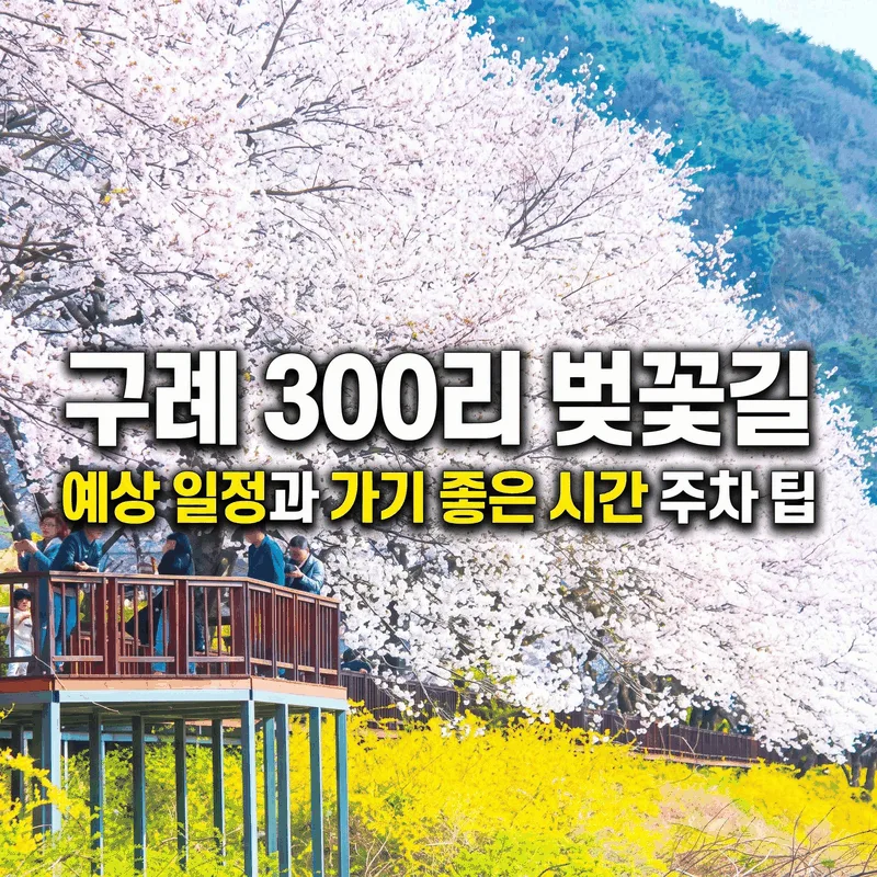 구례 300리 벚꽃길 예상 일정과 가기 좋은 시간 주차 팁