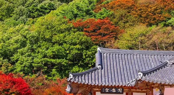 구례 화엄사 / 사진=구례 공식블로그