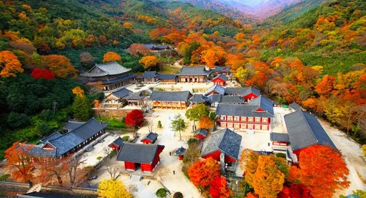 구례 화엄사 전경 / 사진=구례 공식블로그