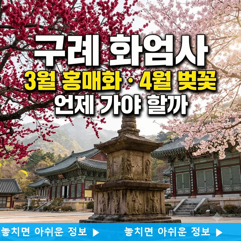 구례 화엄사 3월 홍매화 4월 벚꽃 언제 가야 할까