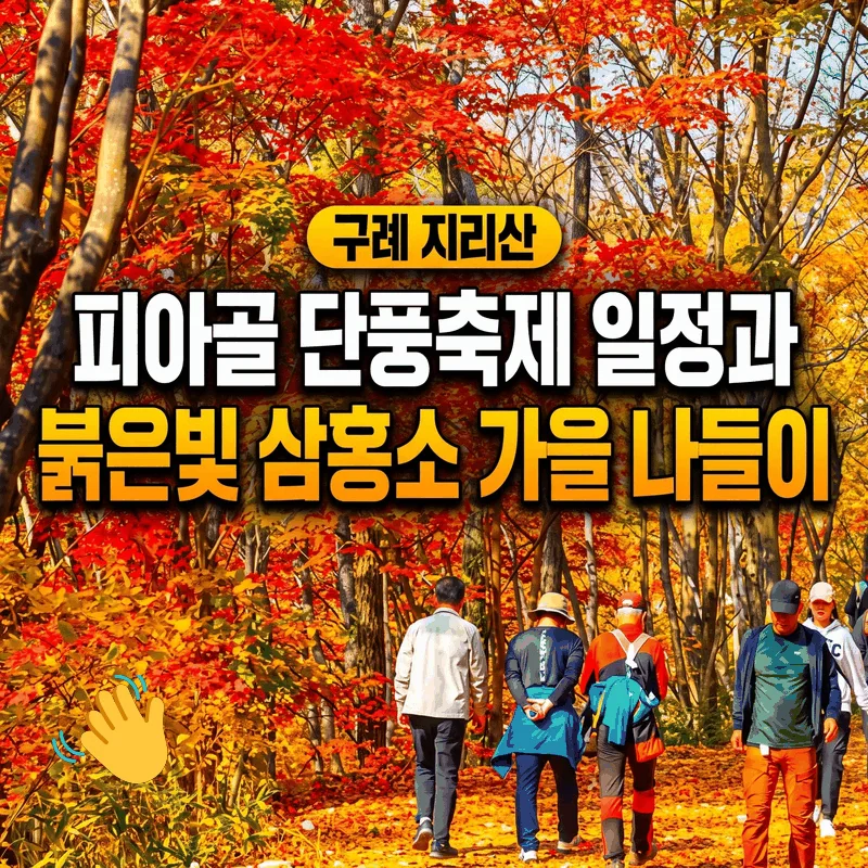 구례 지리산 피아골 단풍축제 일정과 붉은빛 삼홍소 가을 나들이