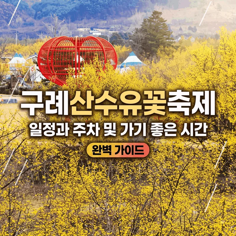 구례산수유꽃축제 일정과 주차 및 가기 좋은 시간 완벽 가이드