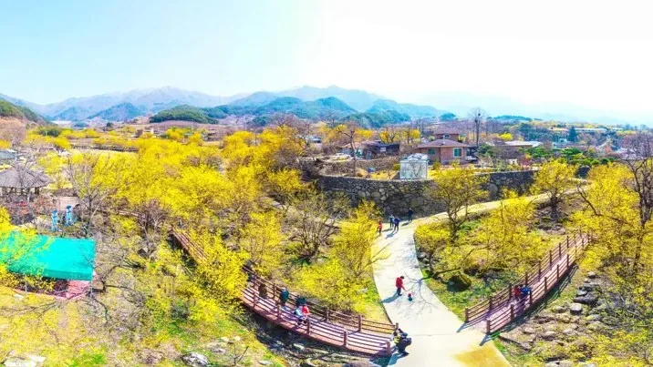 산수유마을 풍경 / 사진=ⓒ한국관광공사 라이브스튜디오
