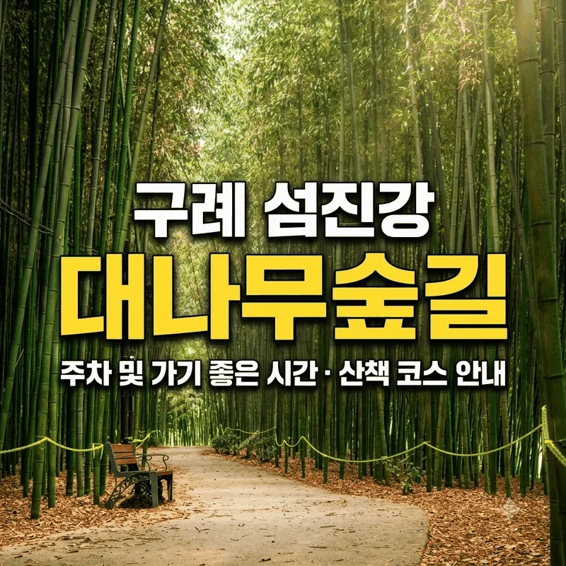 구례 섬진강 대나무숲길 주차 및 가기 좋은 시간 산책 코스 안내