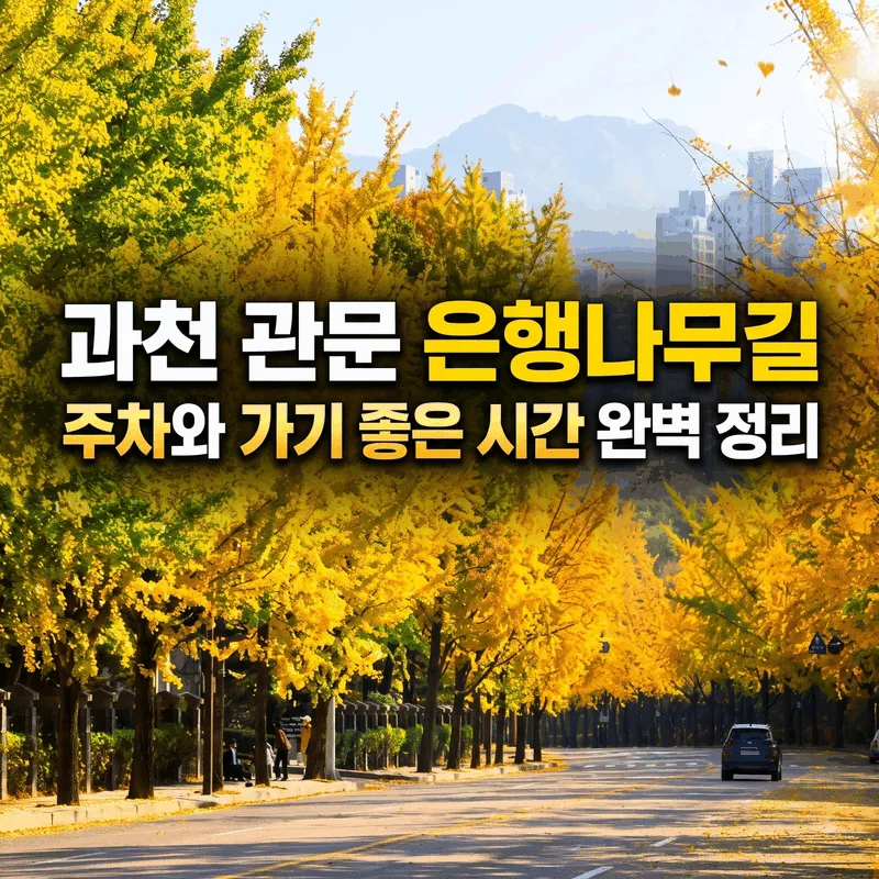과천 관문 은행나무길 주차와 가기 좋은 시간 완벽 정리