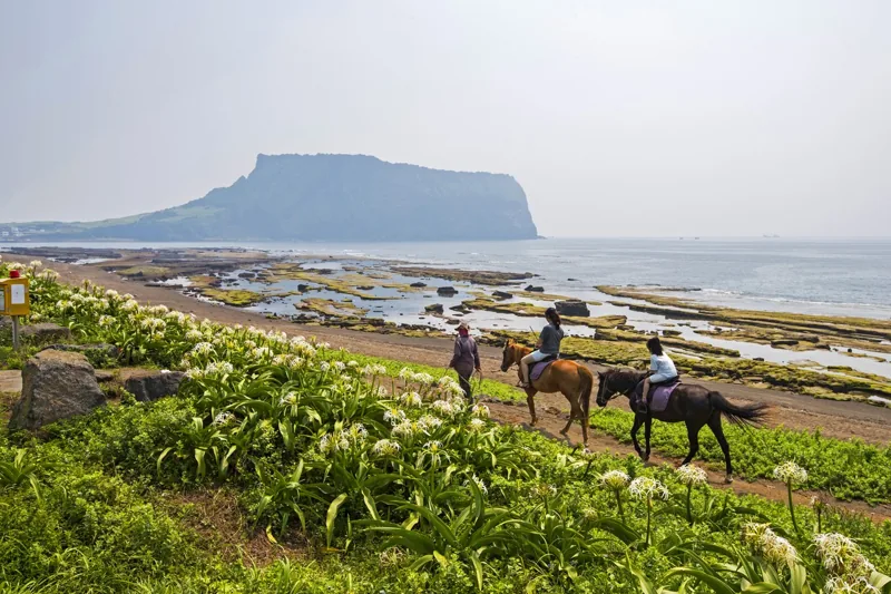 성산일출봉