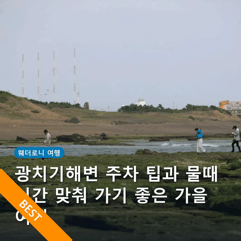 광치기해변 주차 팁과 물때 시간 맞춰 가기 좋은 가을 여행