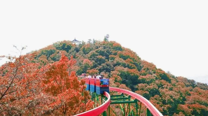 지산유원지 모노레일 풍경 / 사진=공식 홈페이지