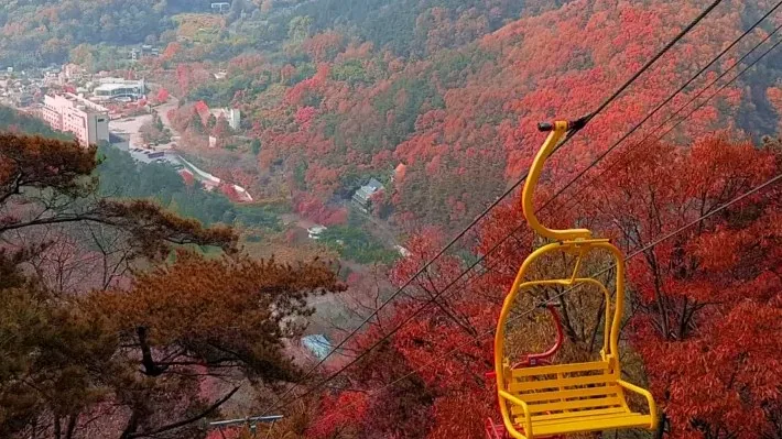 지산유원지 가을 전경 / 사진=공식 홈페이지