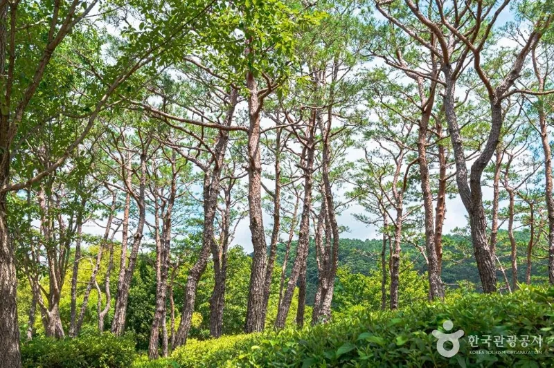 광주호 호수생태원