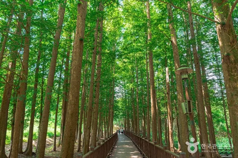 광주호 호수생태원
