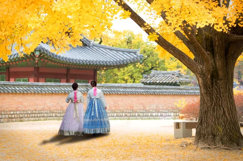 전국 설날맞이 특별 행사 모음 /사진=게티이미지뱅크