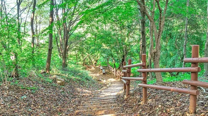 도덕산 등산로 / 사진=ⓒ한국관광공사 김지연