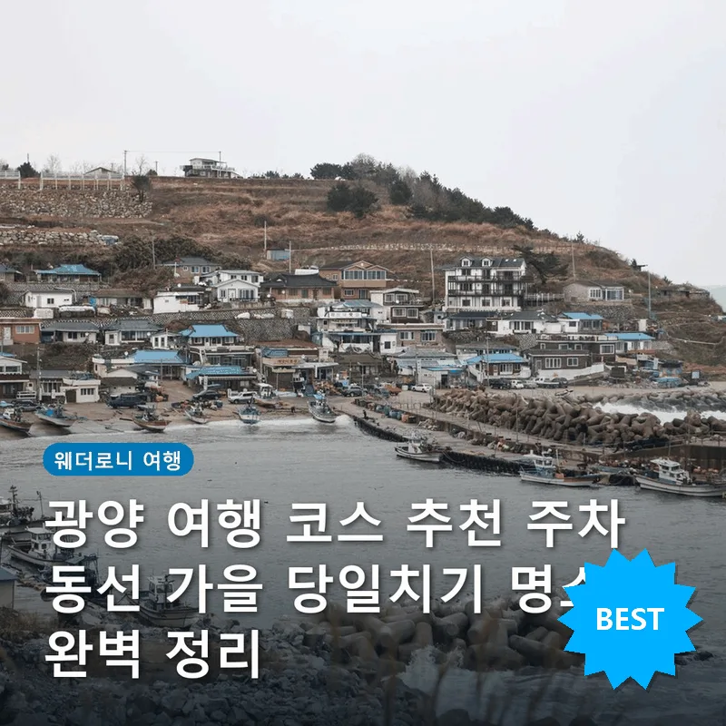 광양 여행 코스 추천 주차 동선 가을 당일치기 명소 완벽 정리