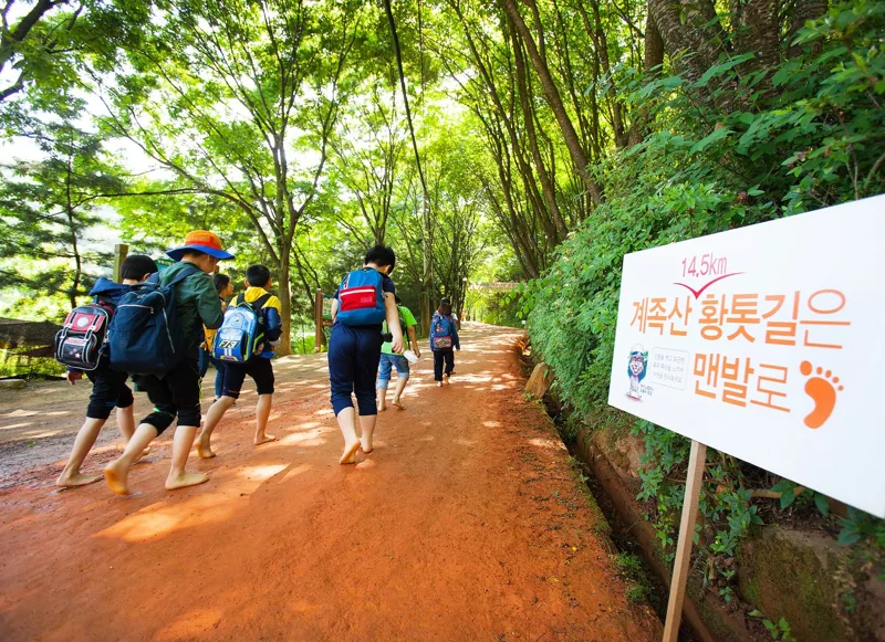 계족산 황톳길