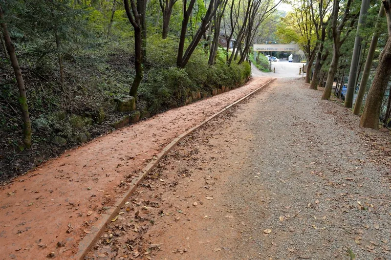 계족산 황톳길