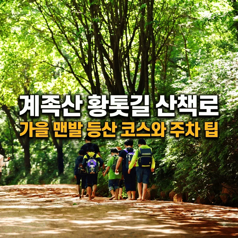 계족산 황톳길 산책로 가을 맨발 등산 코스와 주차 팁
