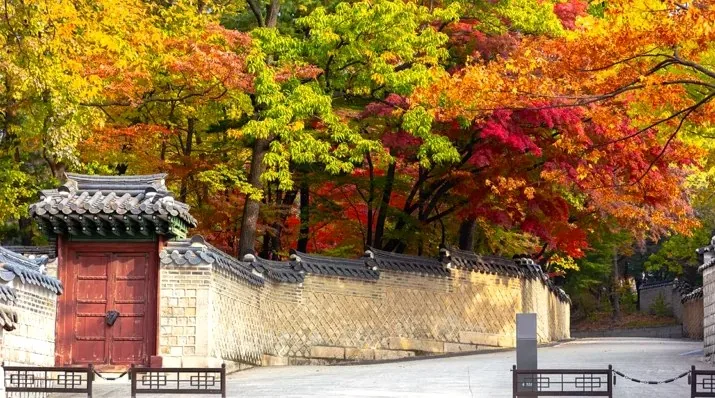 경복궁 가을 단풍 / 사진=게티이미지뱅크