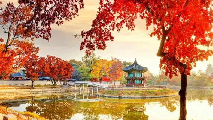 경복궁 향원정 / 사진=궁능유적본부