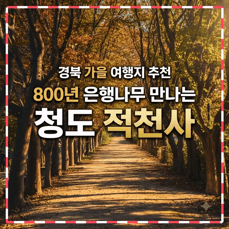 경북 가을 여행지 추천, 800년 은행나무 만나는 청도 적천사