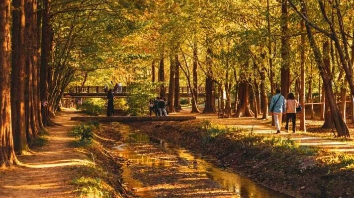 경북천년숲정원 산책로 풍경 / 사진=한국관광공사 박장용