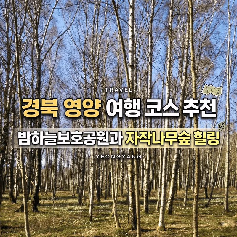 경북 영양 여행 코스 추천, 밤하늘보호공원과 자작나무숲 힐링