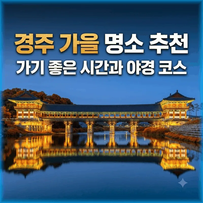 경주 가을 명소 추천, 가기 좋은 시간과 야경 코스