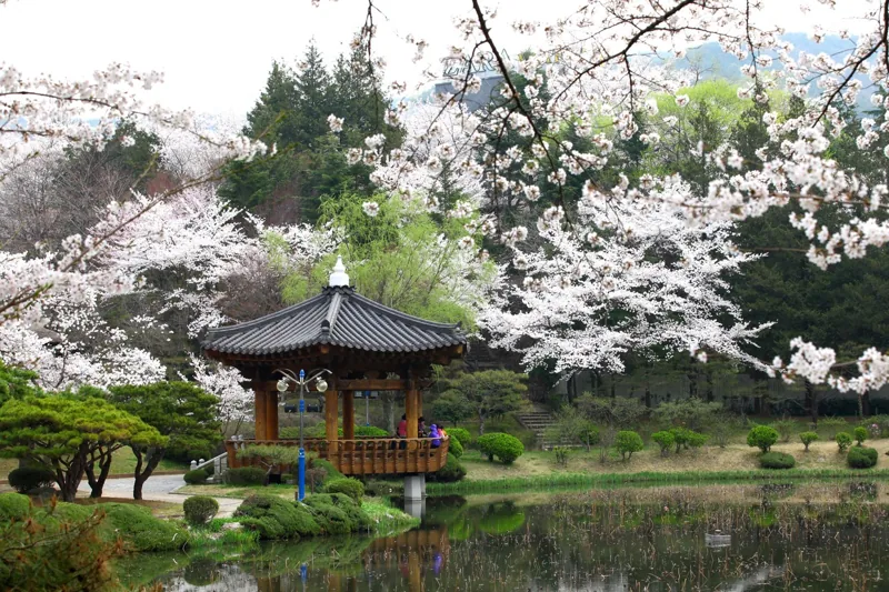 보문정