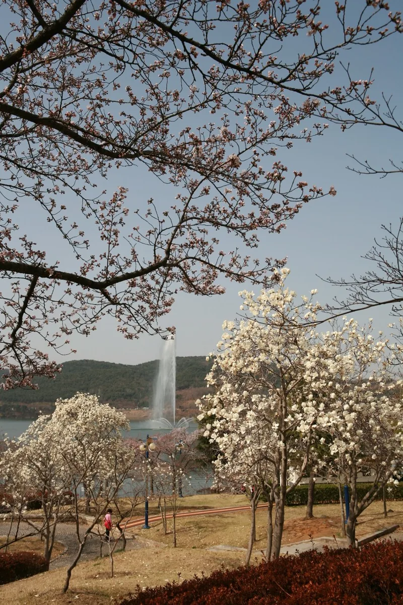 경주보문관광단지