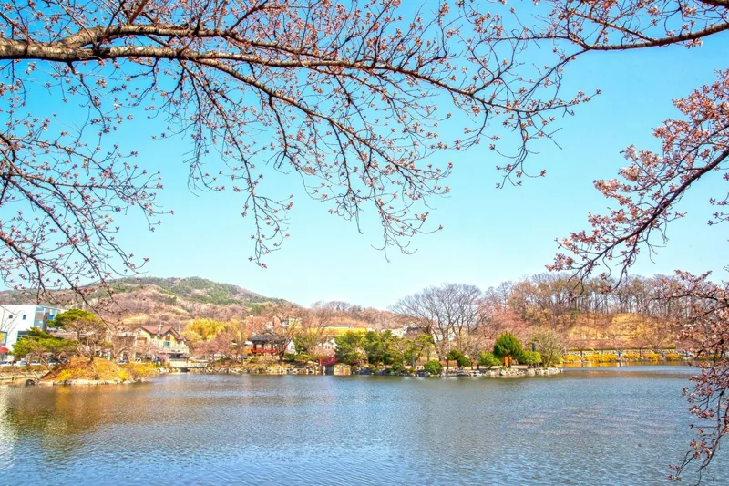 김천 연화지