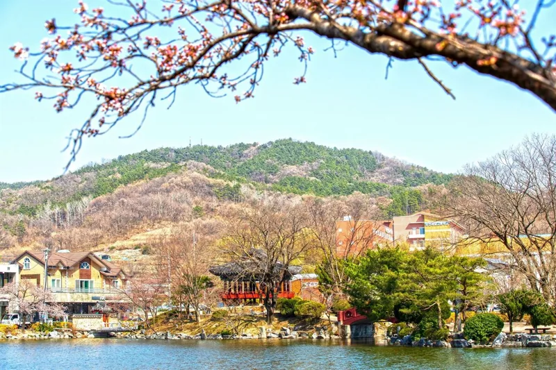 김천 연화지