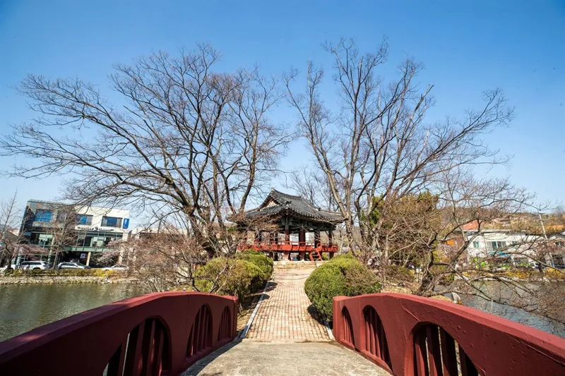 김천 연화지