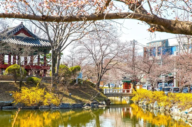김천 연화지