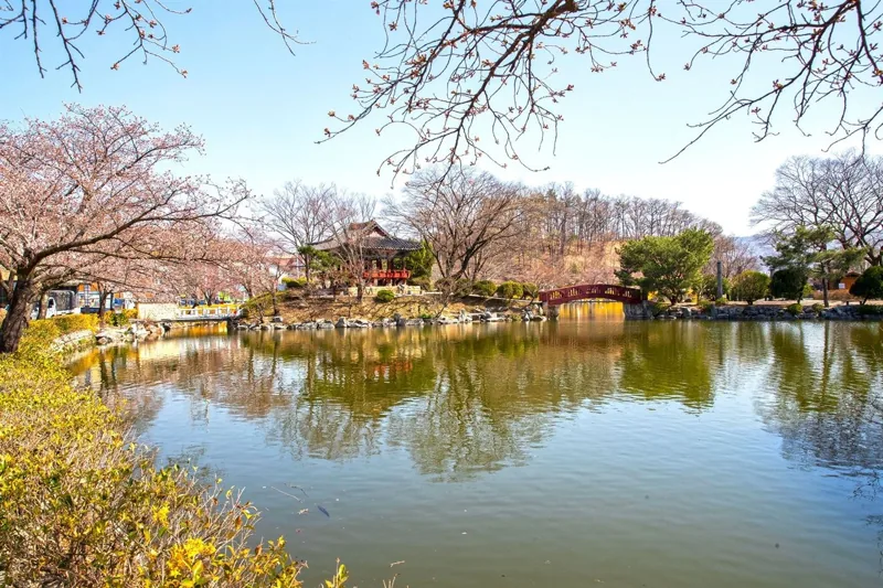김천 연화지