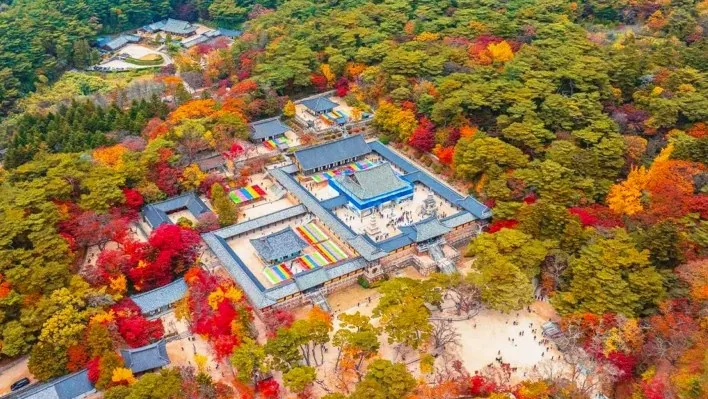 불국사 가을 전경 / 사진=ⓒ한국관광공사 이병현