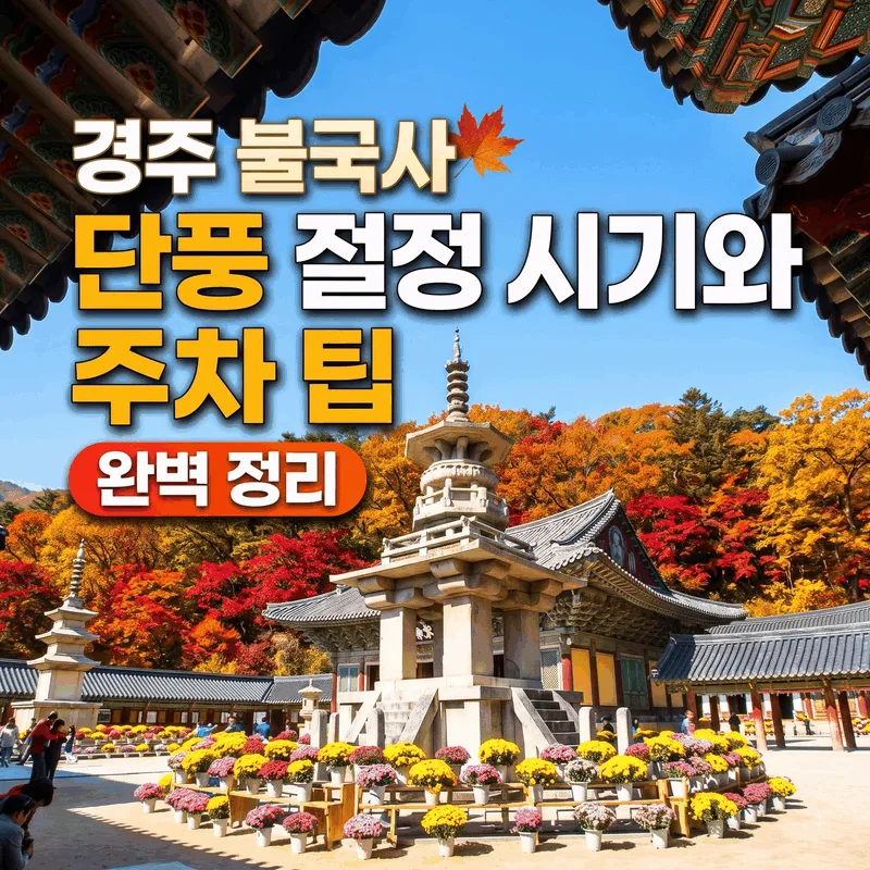 경주 불국사 단풍 절정 시기와 주차 팁 완벽 정리