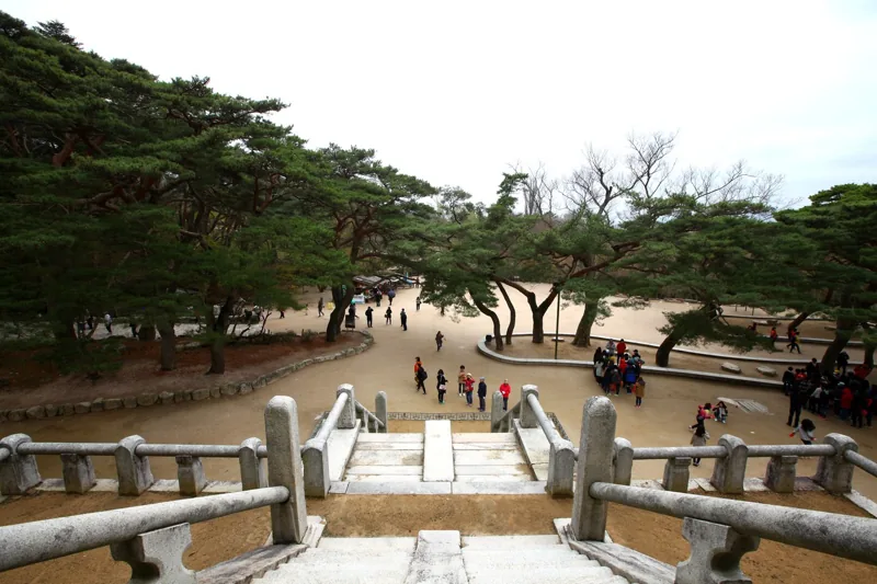 불국사
