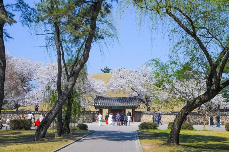 대릉원(천마총)