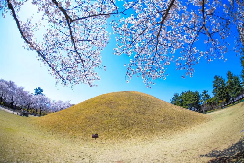 대릉원(천마총)