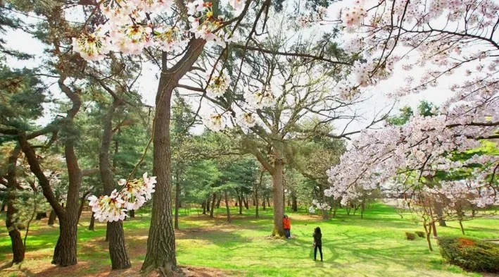 경주 대릉원 / 사진=ⓒ한국관광공사 이범수