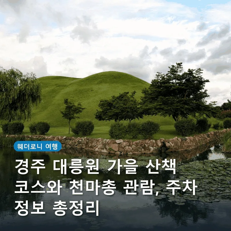 경주 대릉원 가을 산책 코스와 천마총 관람, 주차 정보 총정리