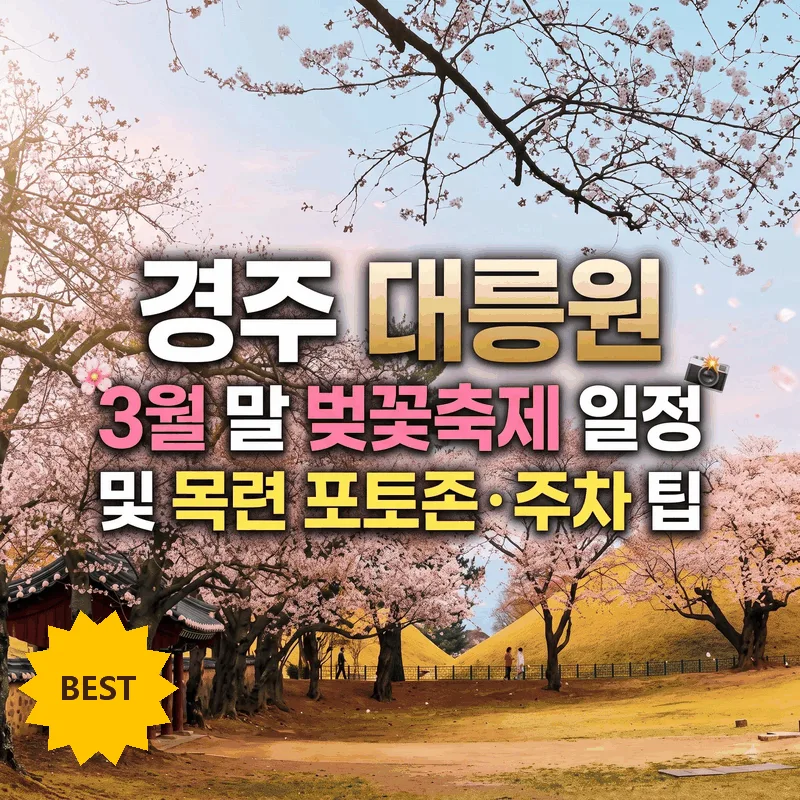 경주 대릉원 3월 말 벚꽃 축제 일정과 목련 포토존 주차 팁