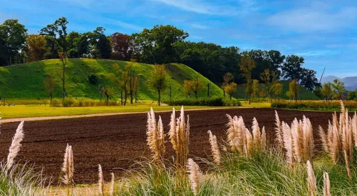 경주 동부사적지대 / 사진=경주 공식sns 박정렬