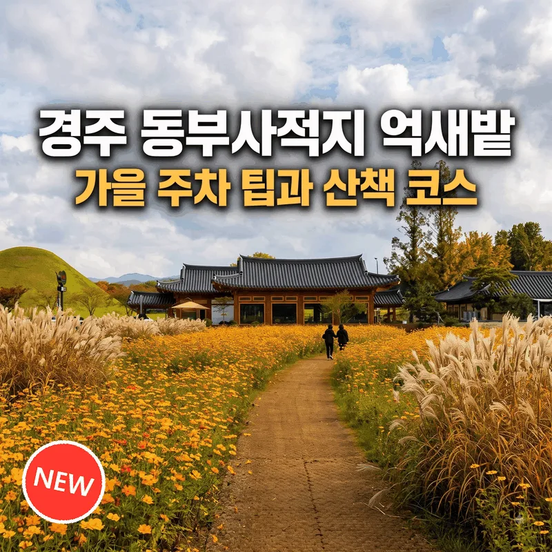 경주 동부사적지대 갈대정원, 가을 주차 팁과 산책 코스