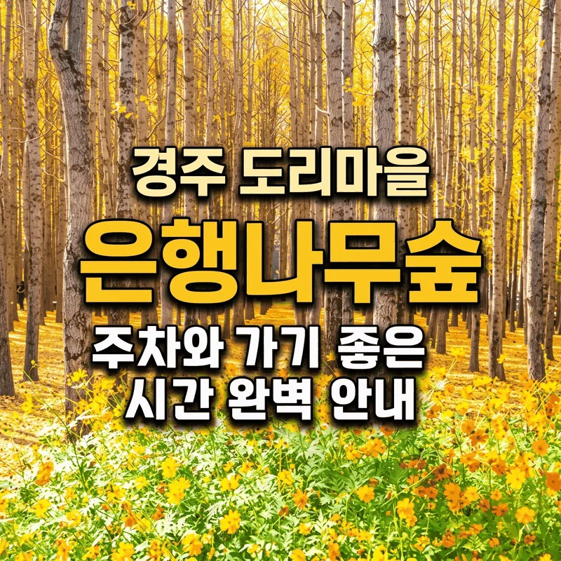 경주 도리마을 은행나무숲 주차와 가기 좋은 시간 완벽 안내