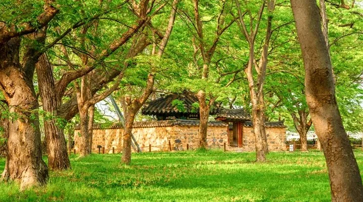 경주 계림 / 사진=ⓒ한국관광공사 이효직