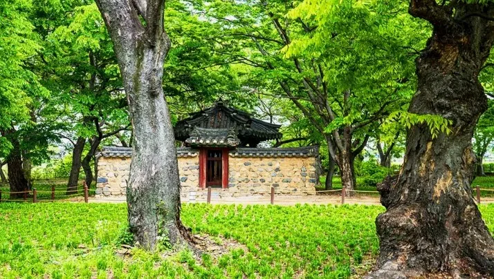 경주 계림 모습 / 사진=ⓒ한국관광공사 김지호